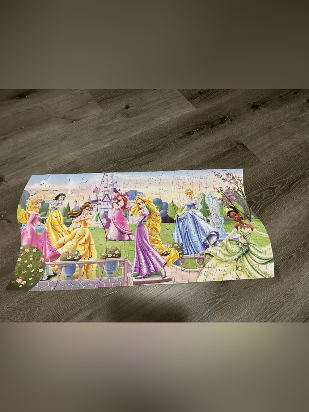 Disney Princess 3 in 1 Panoramic Puzzle (3 Puzzles in 1) - 172 Pieces